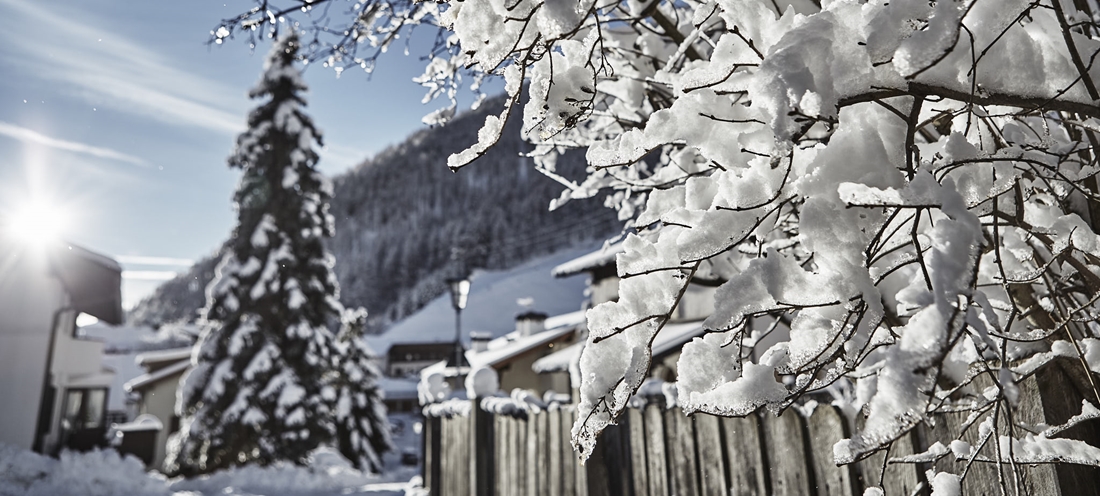 Winter Opening Special
